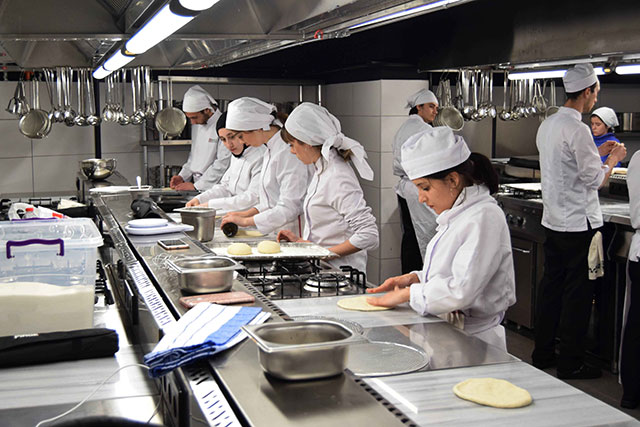 Gastronomy and culinary arts overview
