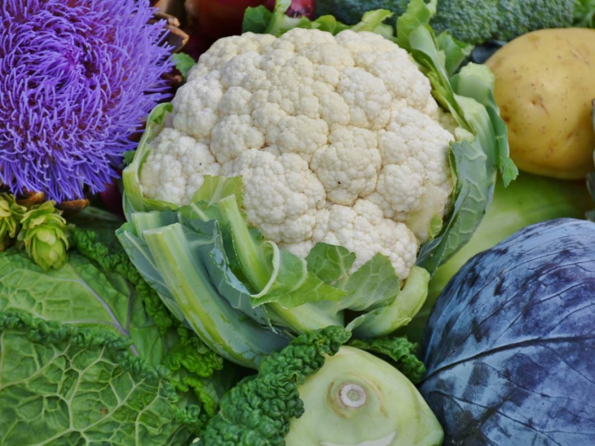 It's October — What Fresh Foods Should I Eat?