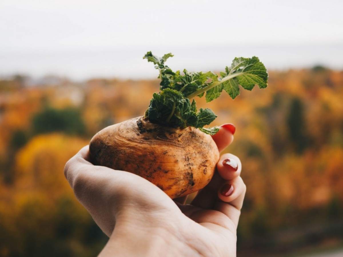 Benefits of Raw Potato and Raw Potato Juice