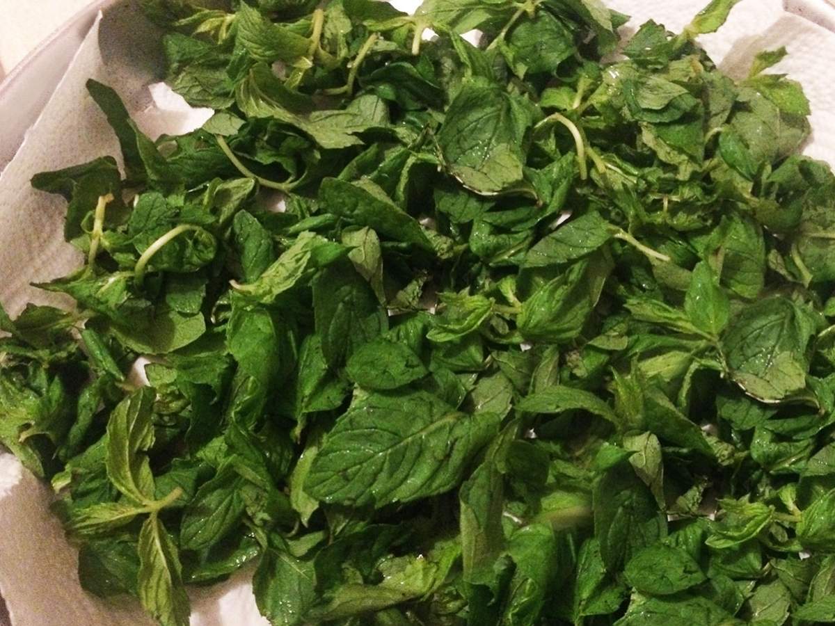 Evde Kuru Nane tarifi