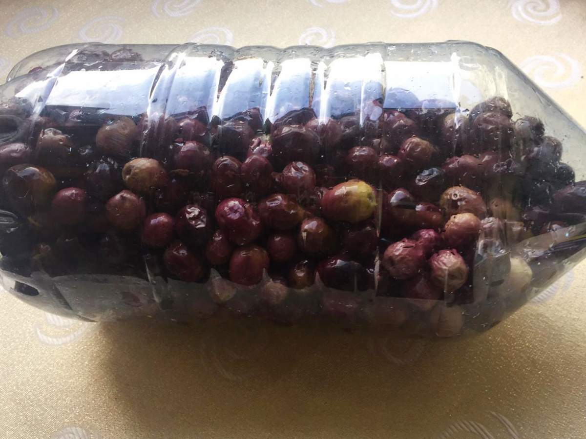 Evde Siyah Zeytin tarifi