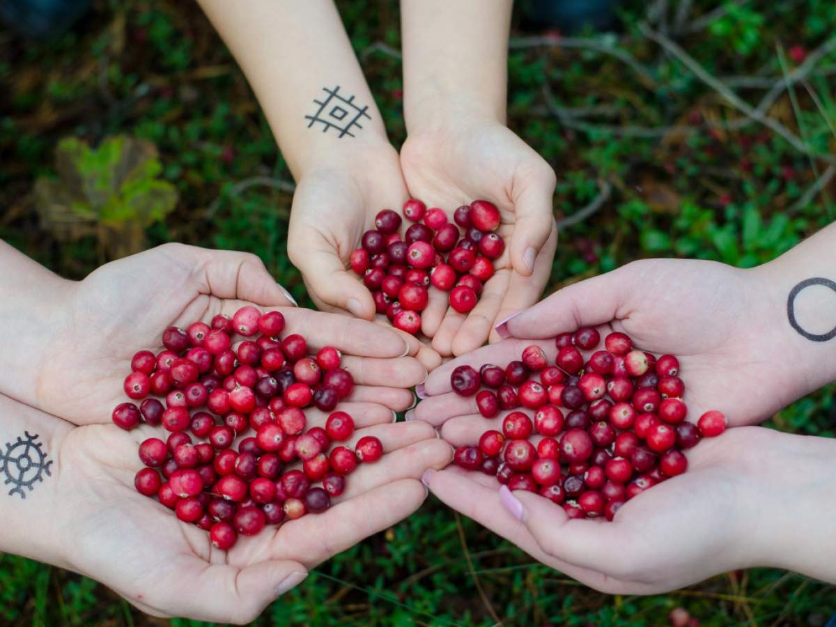 What Vitamins Are in Cornelian Cherries? What Are the Benefits of Cornelian Cherry?