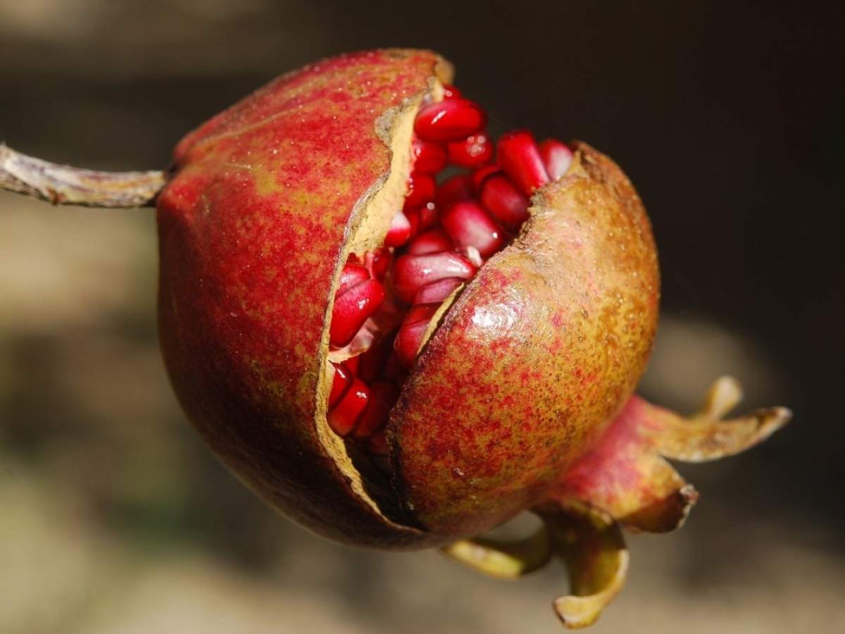 Little-Known Facts About Pomegranates