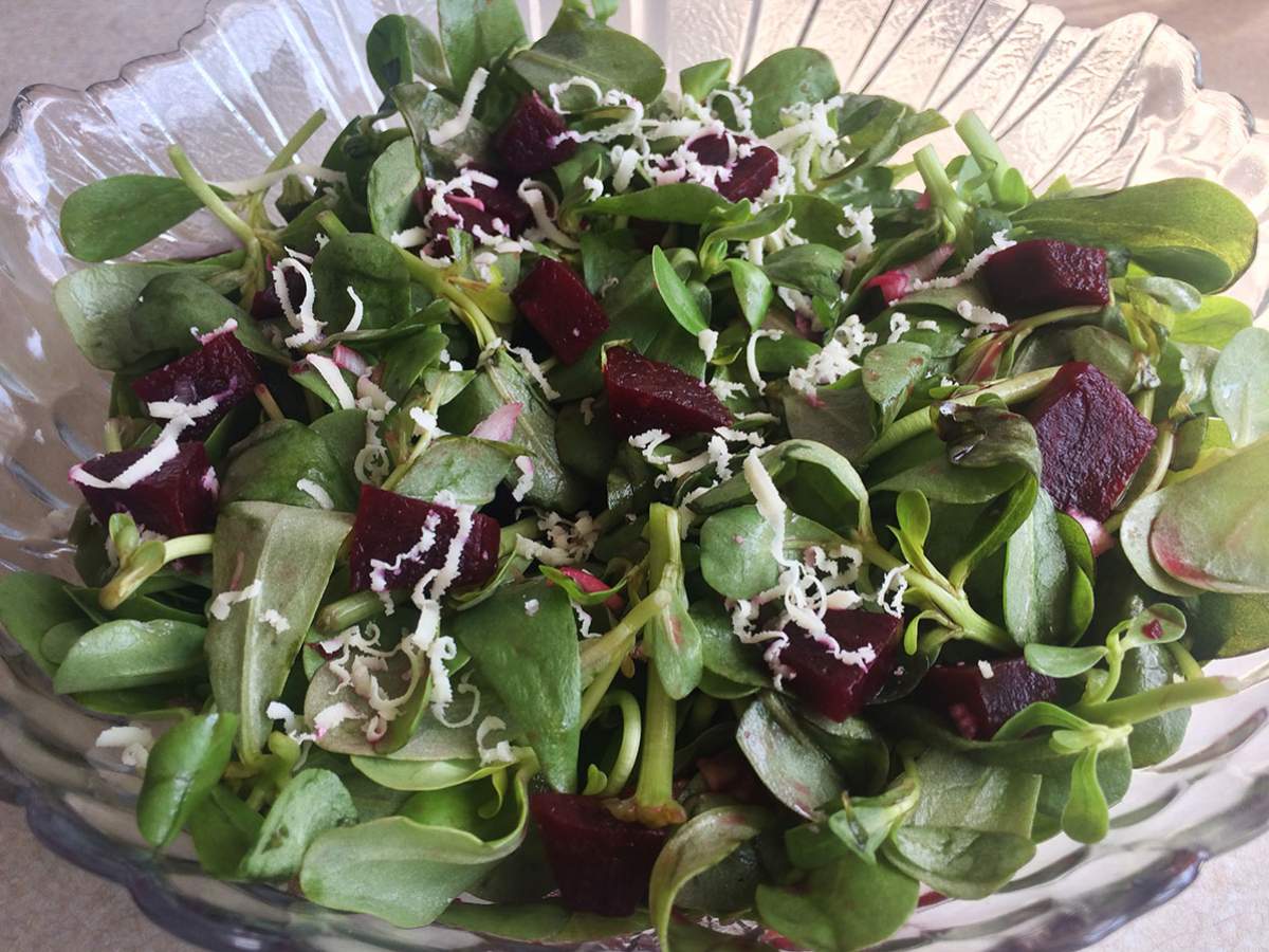 Pancarlı Semizotu Salatası tarifi