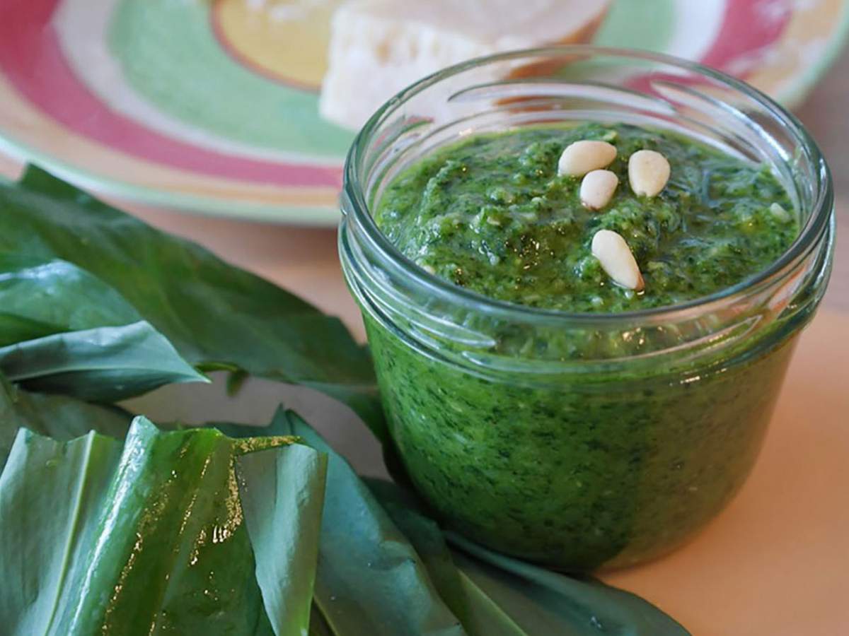 Pesto Sos tarifi