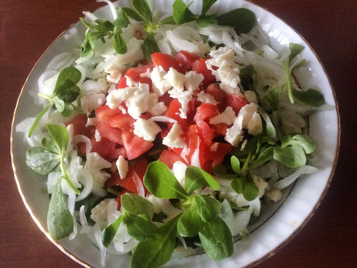 Peynirli Semizotu Salatası tarifi