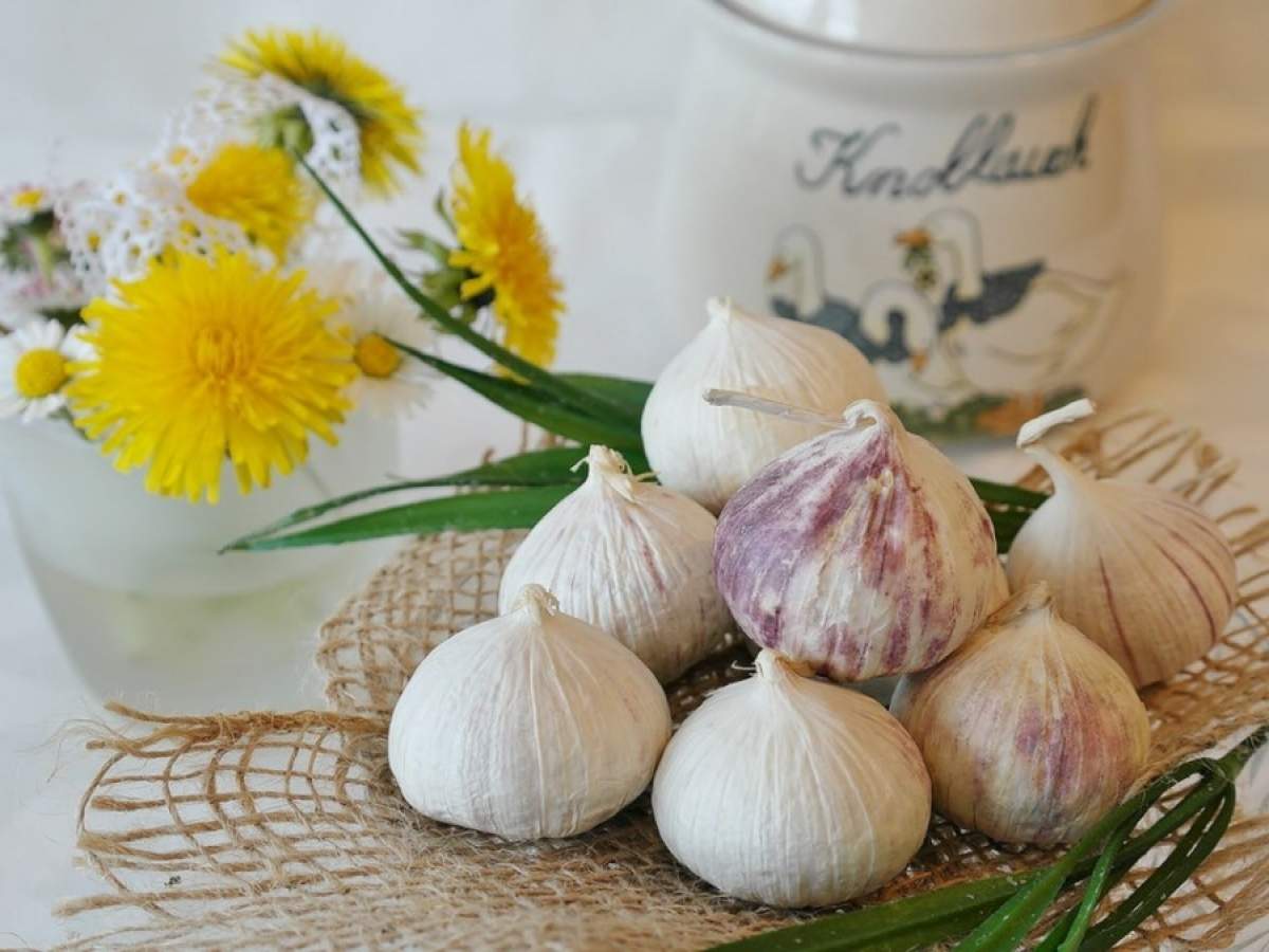 10 Reasons to Use Probiotics!