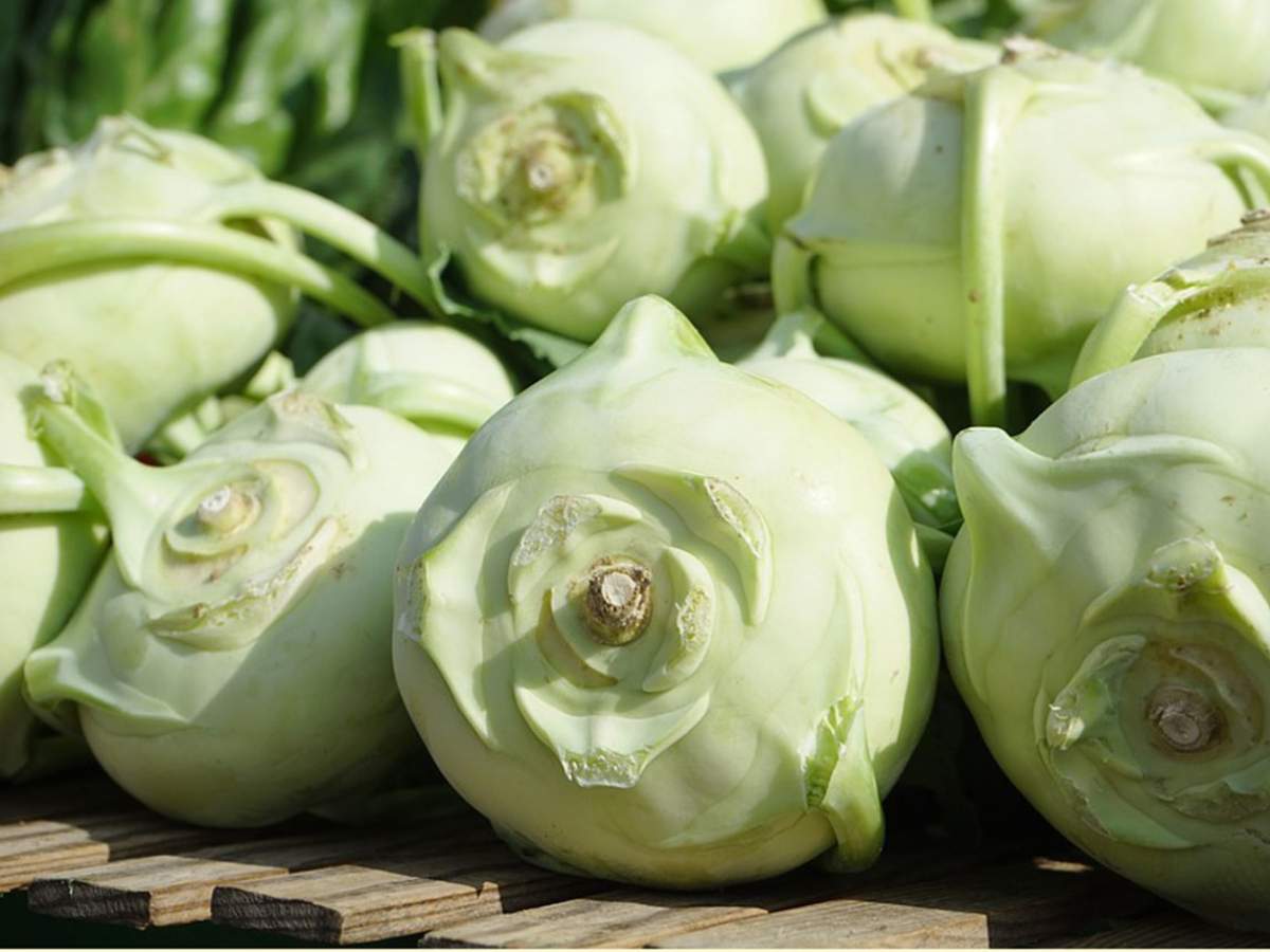 Kohlrabi: The New Star of the Market Stands