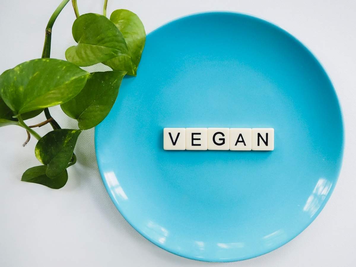 Is a Vegan Diet Harmful?