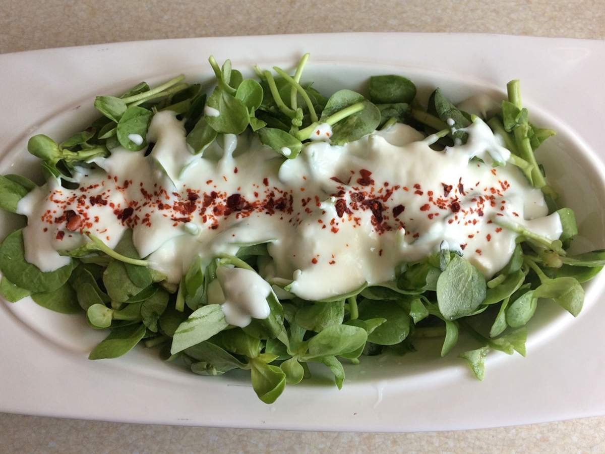 Yoğurtlu Semizotu Salatası tarifi