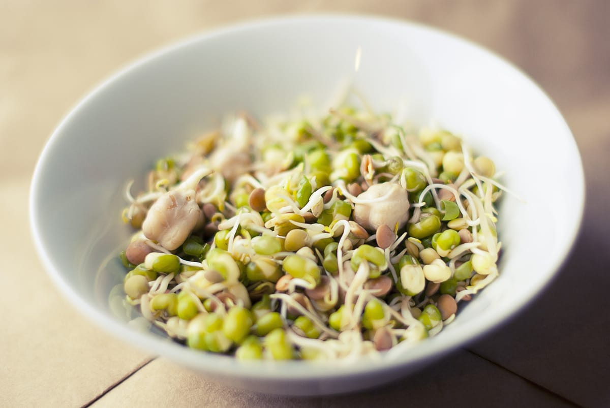 The New Nutrition Trend: Sprouting image