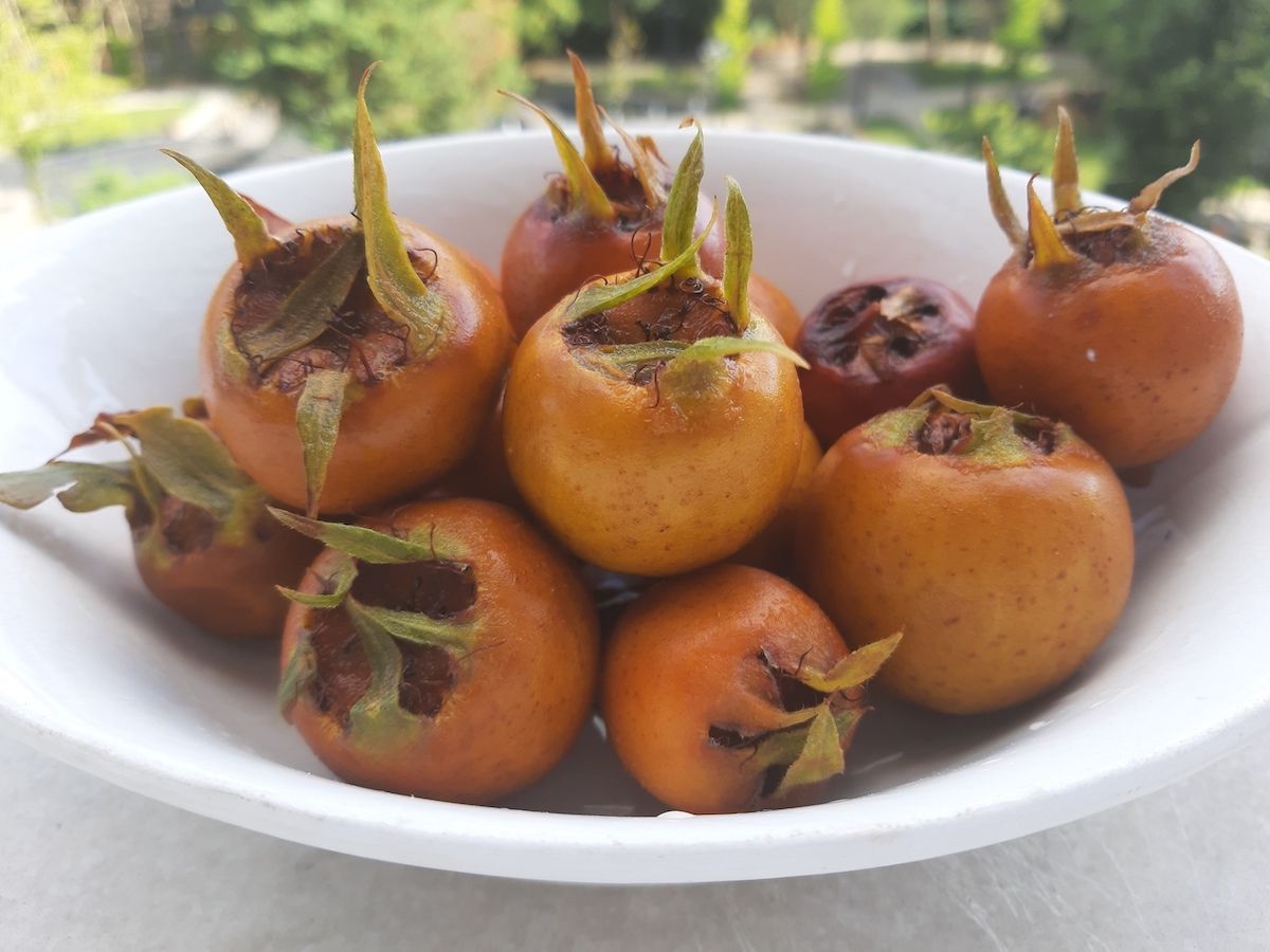 Muşmula (Döngel) Turşusu - Asla Erimeyen & Şifa Deposu tarifi görseli