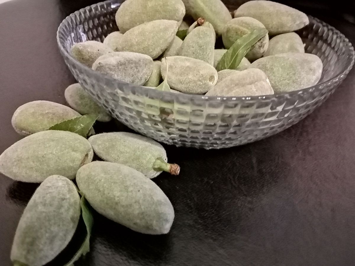 The First Fruit of Spring: Çağla (Green Almond) image