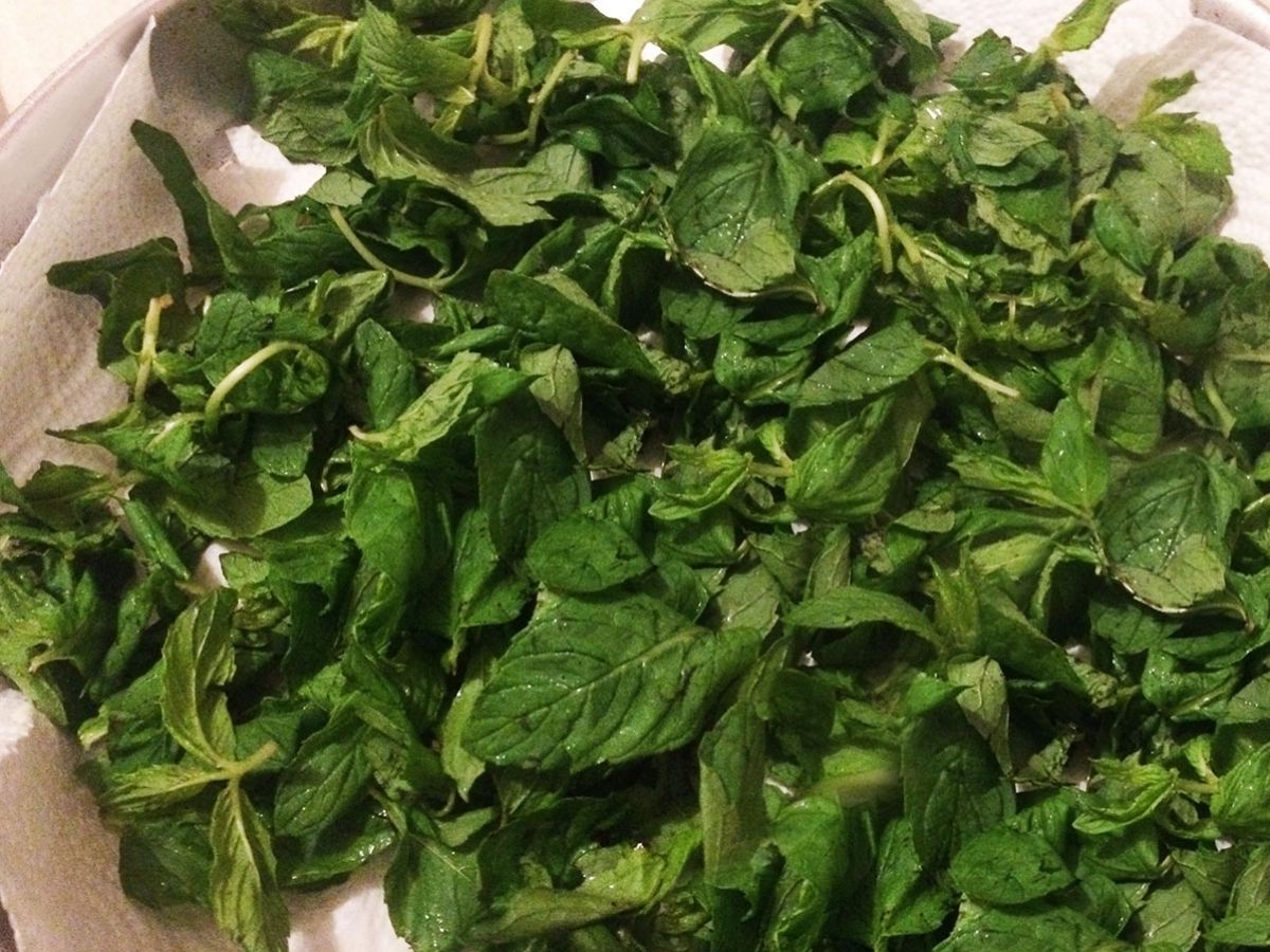 Evde Kuru Nane tarifi görseli