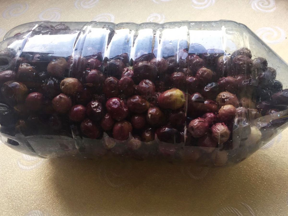 Evde Siyah Zeytin tarifi görseli