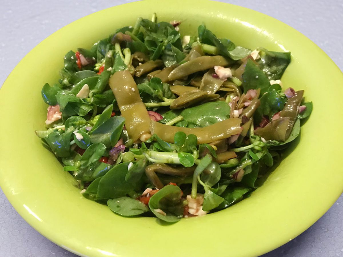 Fasulyeli Semizotu Salatası tarifi görseli