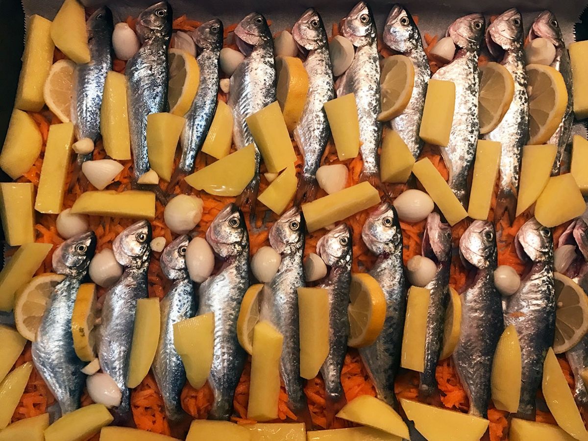 Baked Çinekop (Turkish Bluefish) recipe photo