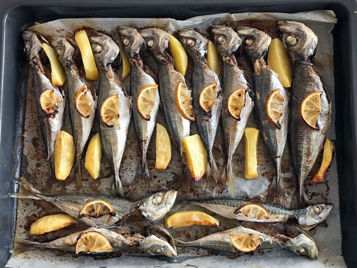 Fırında İstavrit tarifi görseli