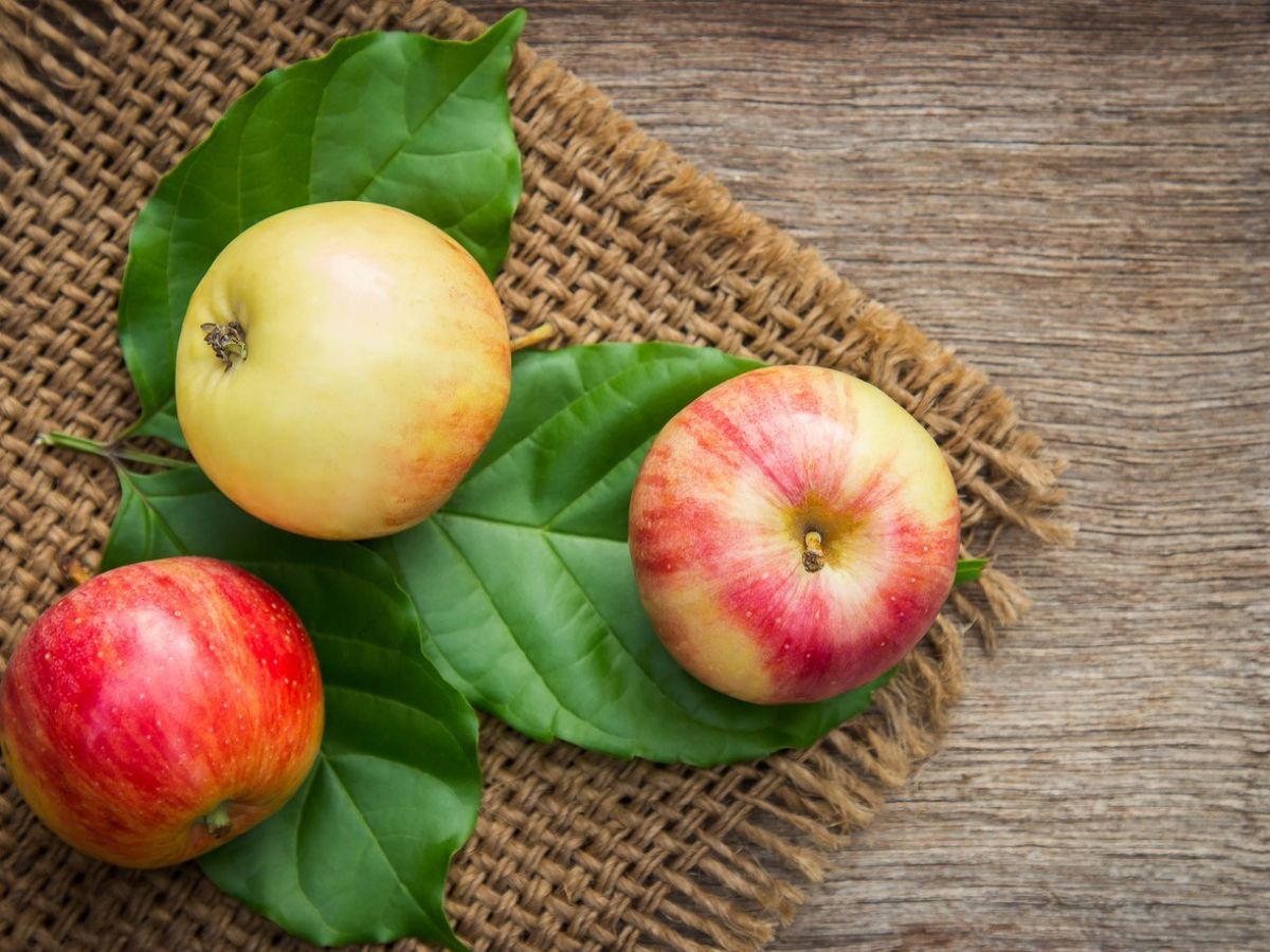 12 Foods for Better Sleep Quality image