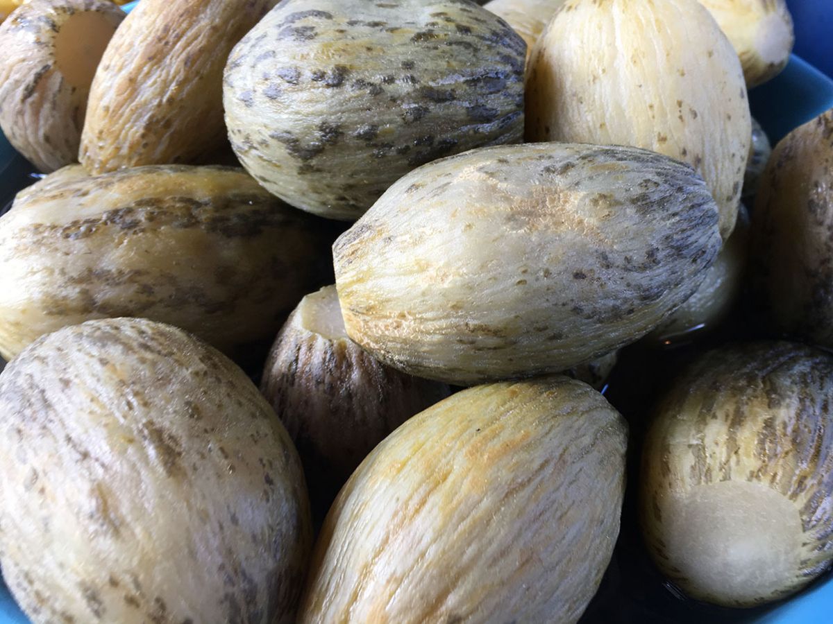 Kelek Turşusu tarifi görseli