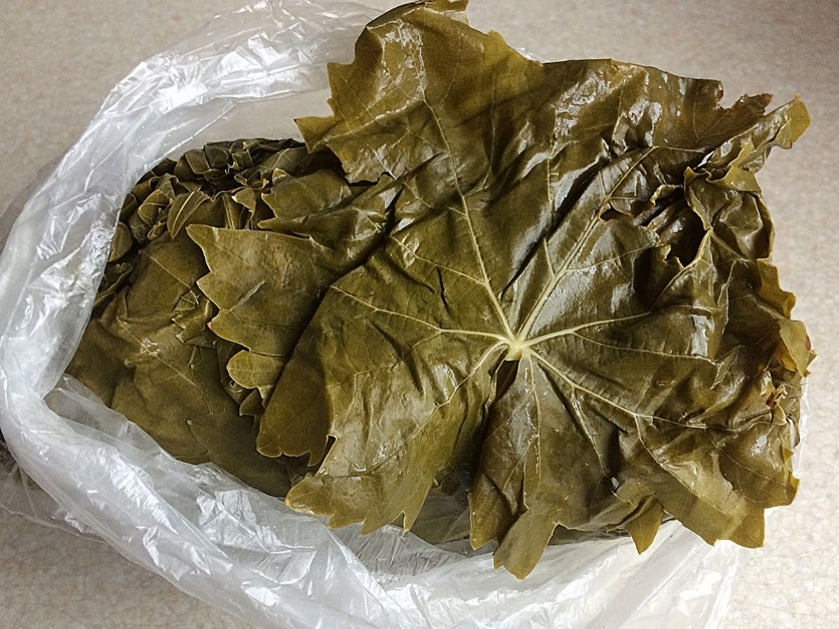 Winter Grape Leaves (Kışlık Asma) recipe photo