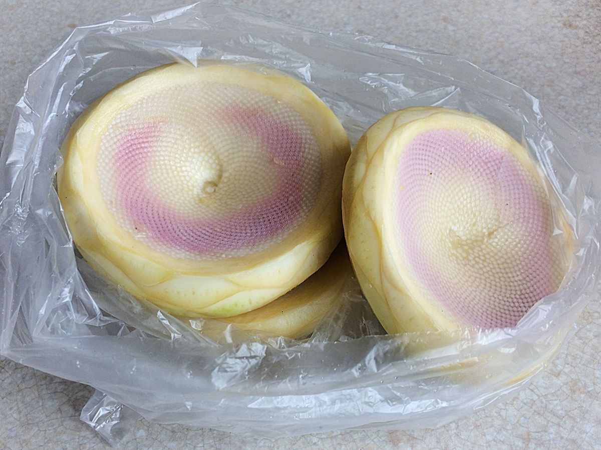 Winter Artichokes (Kışlık Enginar) recipe photo