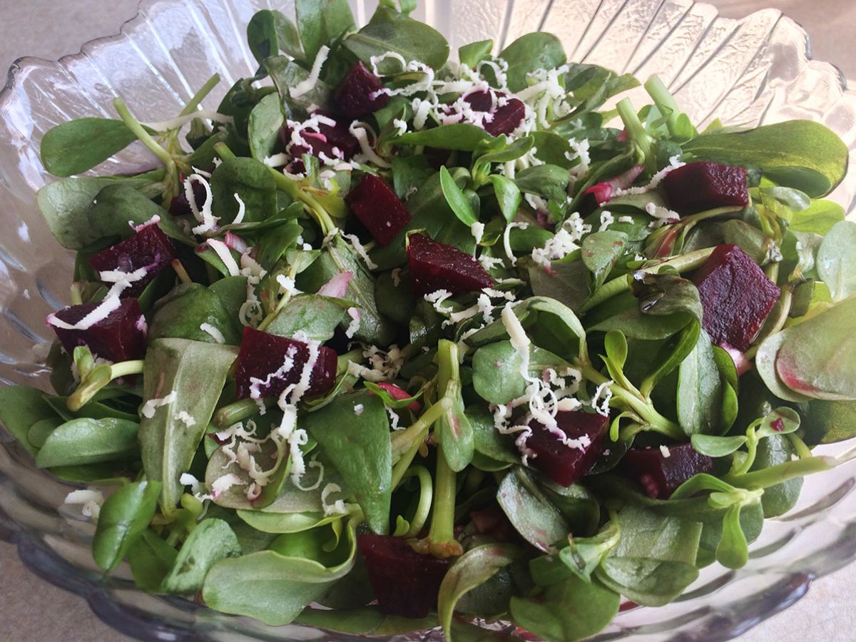 Pancarlı Semizotu Salatası tarifi görseli