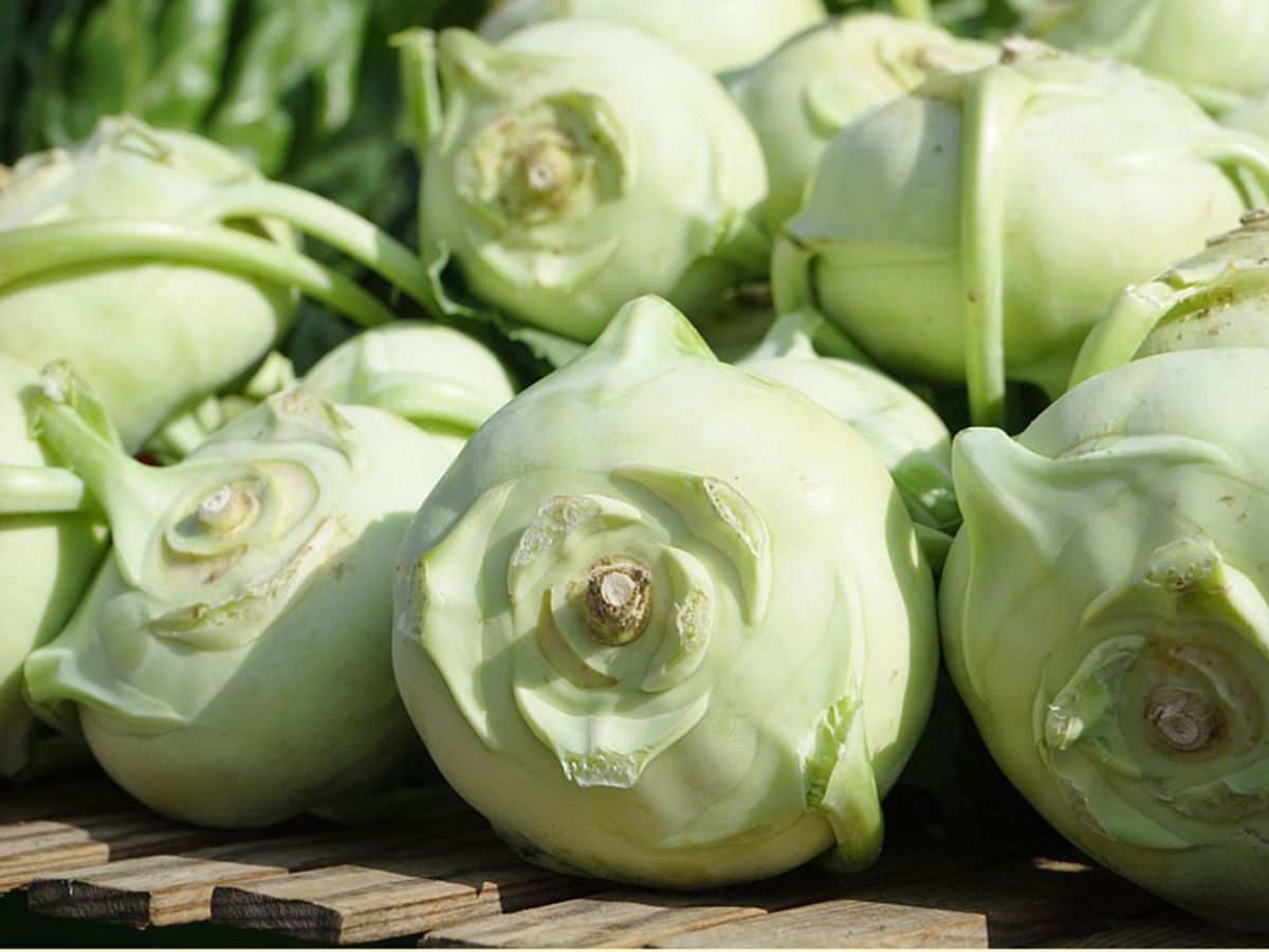Kohlrabi: The New Star of the Market Stands image