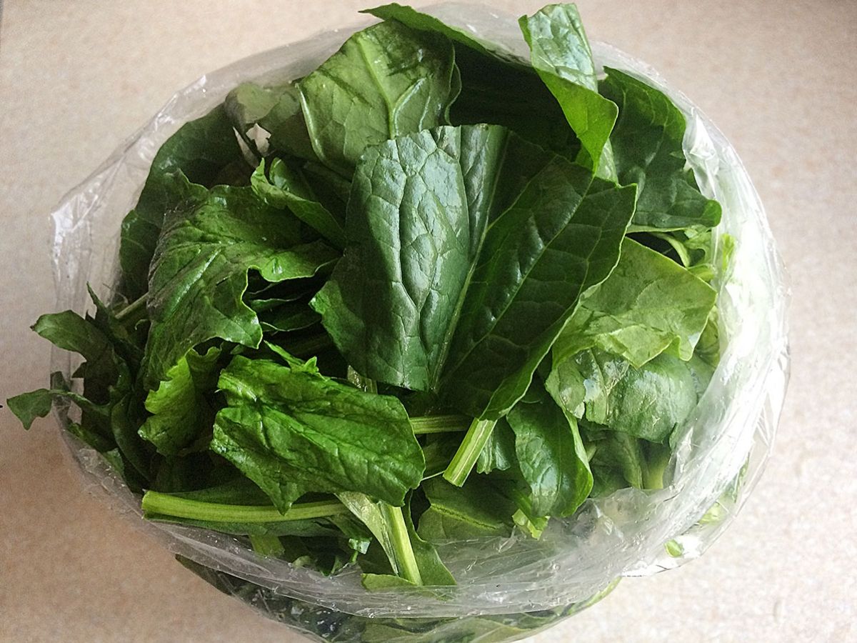 Summer Spinach (Frozen Spinach for Winter Use) recipe photo