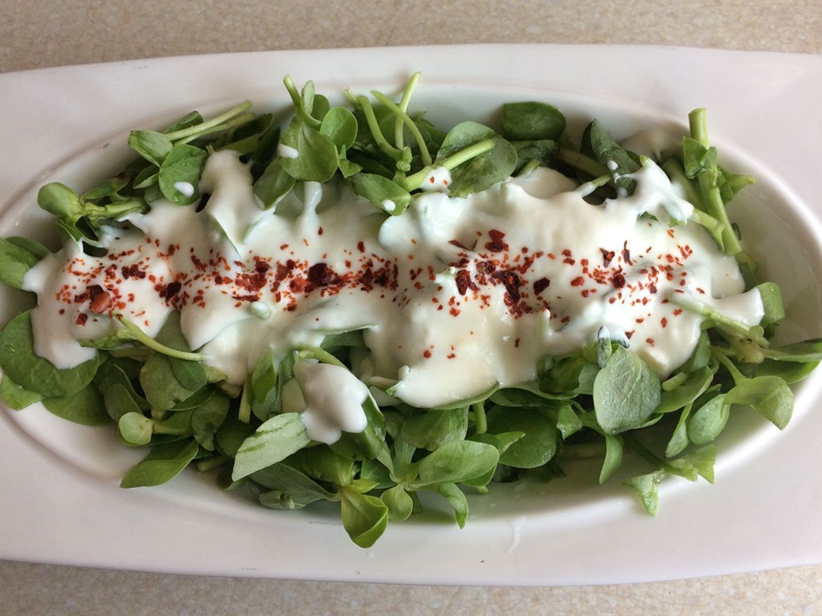 Yoğurtlu Semizotu Salatası tarifi görseli